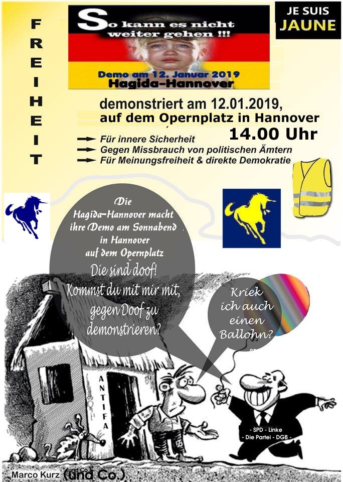 12. Januar 2019 14.00 Uhr Opernhaus Hannover Demo